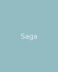 Saga