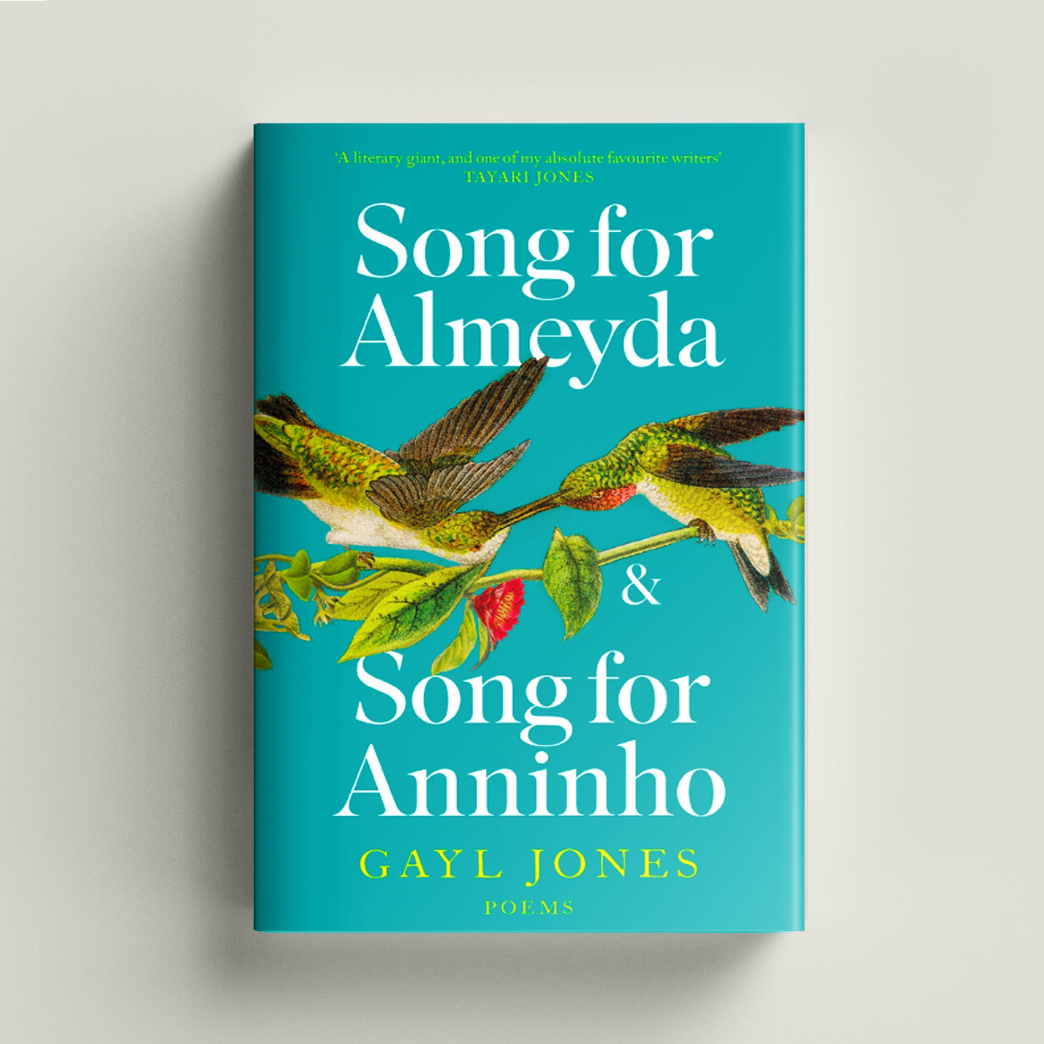 Song for Anninho by Gayl Jones