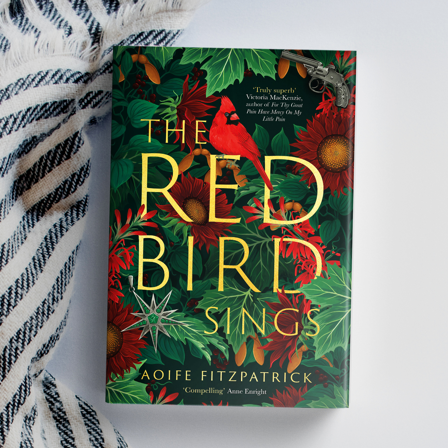 The Red Bird Sings by Aoife Fitzpatrick