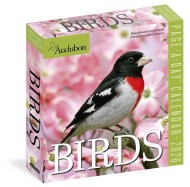 Audubon Birds Page-A-Day® Calendar 2026