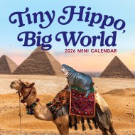 Tiny Hippo, Big World Mini Calendar 2026