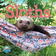 Original Sloths Mini Wall Calendar 2027