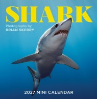 Shark Mini Wall Calendar 2027